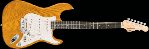 Tribute G&L S-500