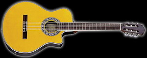 J&D ARB-30C<br>Электроакустическая гитара