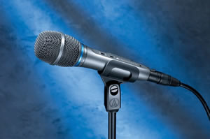 Audio-Technica AE5400<br>Вокальный микрофон