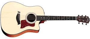 TAYLOR 310CE