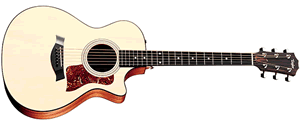 TAYLOR 312CE