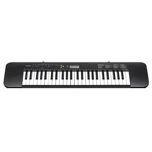 CASIO CTK-240<br>