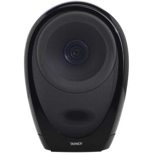 TANNOY ARENA SINGLE DRIVER SPEAKER BLACK<br>  