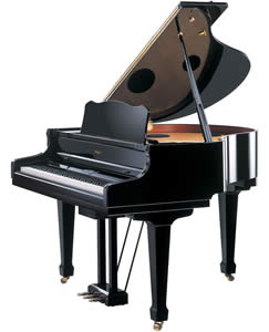 Цифровой рояль Roland RG-7