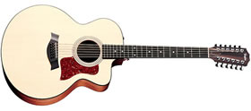 TAYLOR 355CE