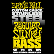 Ernie Ball 2842