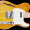 G&L ASAT Classic Semi-Hollow
   
 