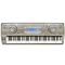 CASIO WK-3800<br>
   
 