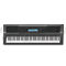 CASIO WK-500<br>
   
 