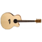 DEAN Jumbo Cut-A-Way Acoustic/Electric w/case<br>Акустическая гитара с электроникой
полная информация о товаре
ГДЕ КУПИТЬ