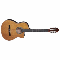 DEAN Espana Solid Top Cut-a-way Rose Electric<br>Классическая гитара с электроникой
полная информация о товаре
ГДЕ КУПИТЬ