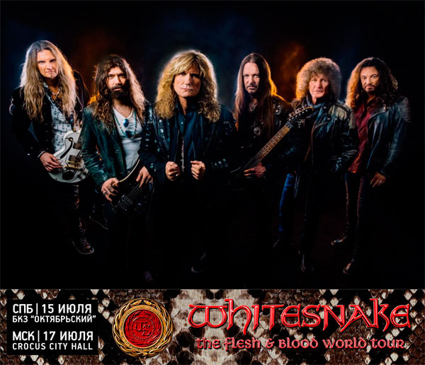 TCI  NCA : WHITESNAKE  40 !