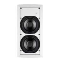 TANNOY IW62 TS<br> 
   
 